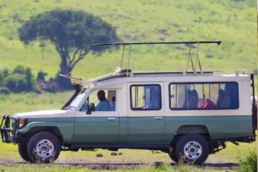 Tourist Safari Car
